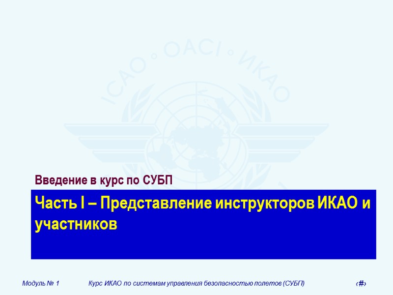 Часть I – Представление инструкторов ИКАО и участников Введение в курс по СУБП